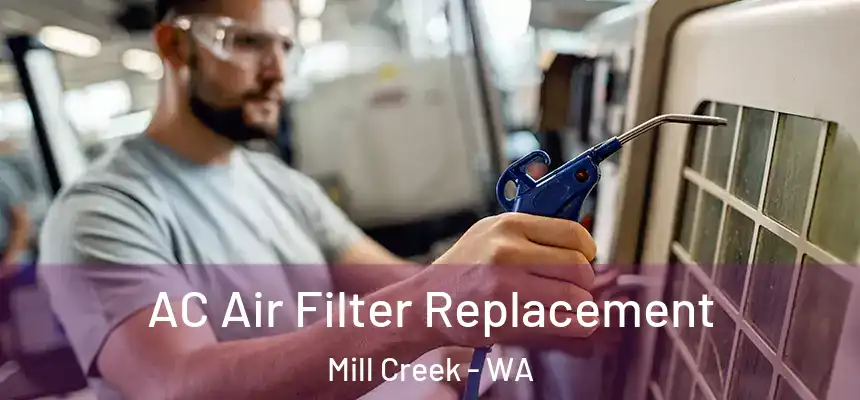 AC Air Filter Replacement Mill Creek - WA