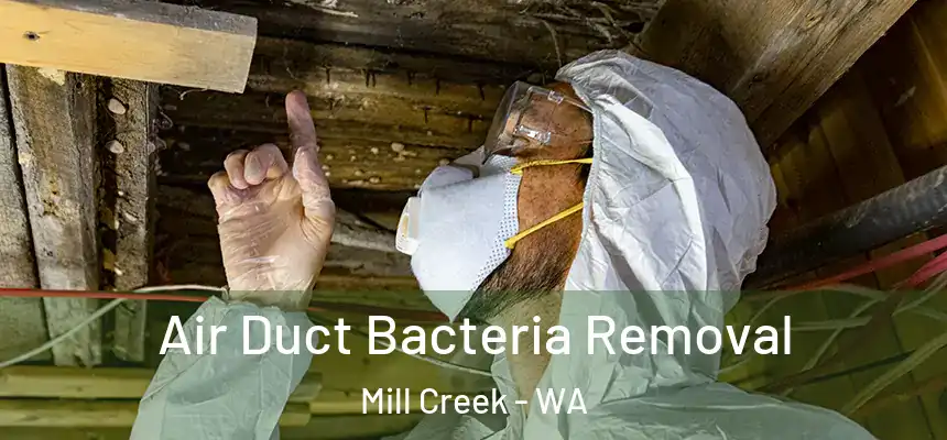 Air Duct Bacteria Removal Mill Creek - WA