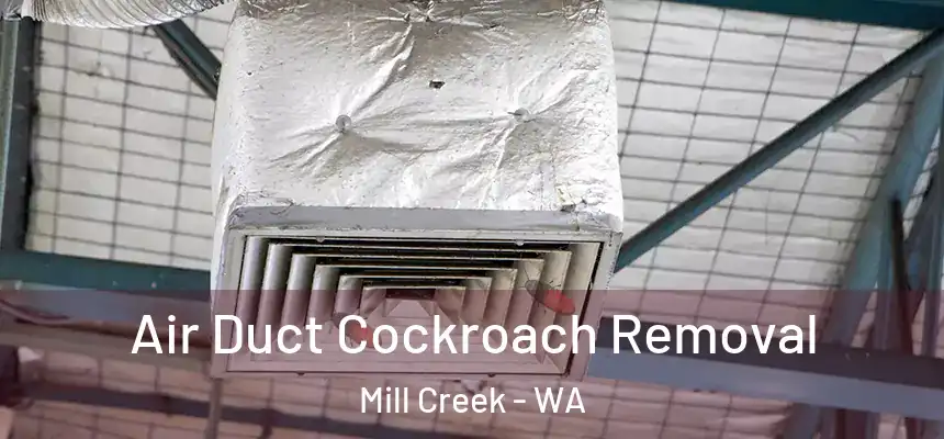 Air Duct Cockroach Removal Mill Creek - WA