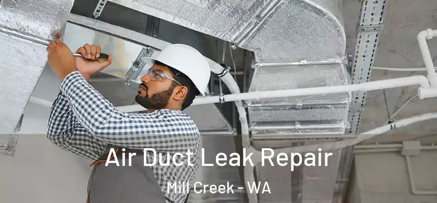  Air Duct Leak Repair Mill Creek - WA