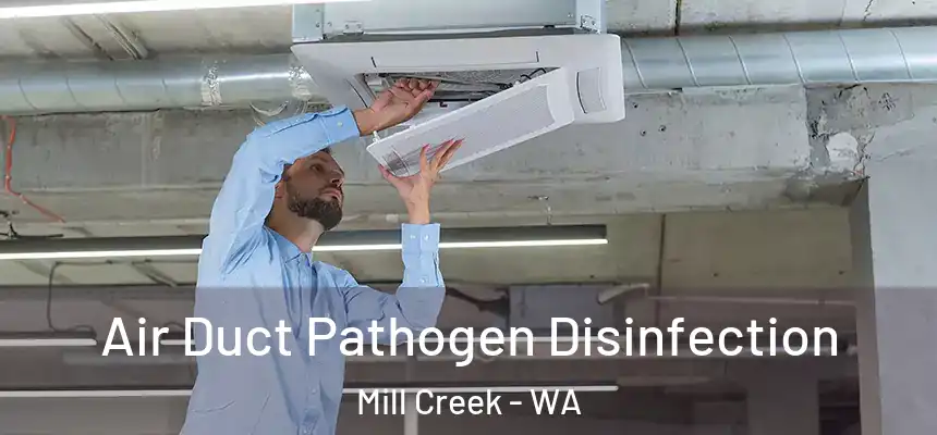 Air Duct Pathogen Disinfection Mill Creek - WA