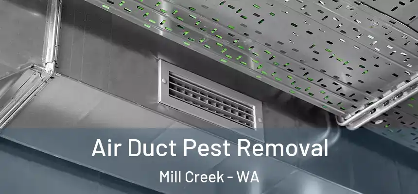 Air Duct Pest Removal Mill Creek - WA