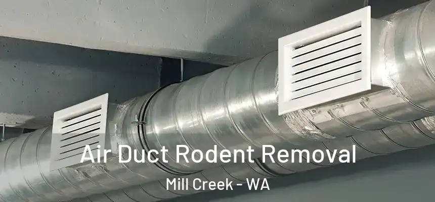 Air Duct Rodent Removal Mill Creek - WA