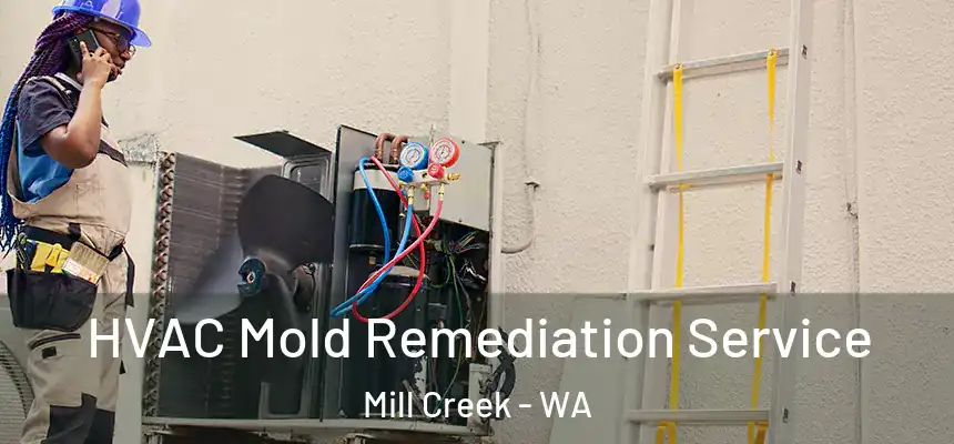 HVAC Mold Remediation Service Mill Creek - WA