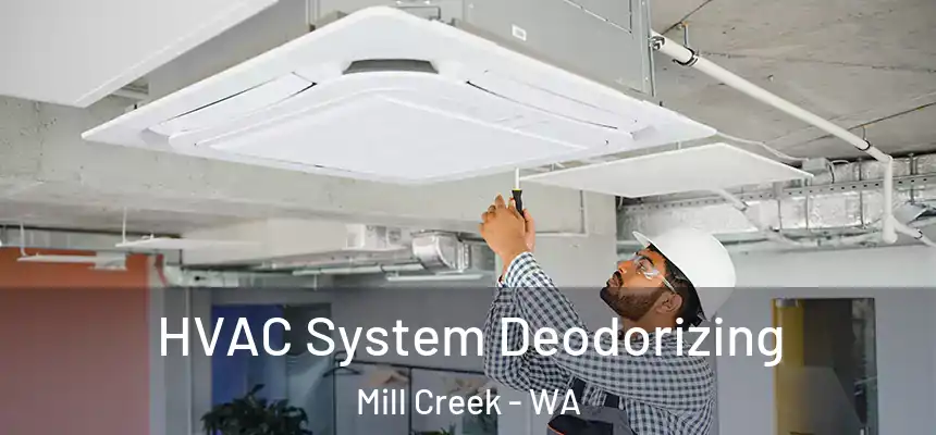 HVAC System Deodorizing Mill Creek - WA