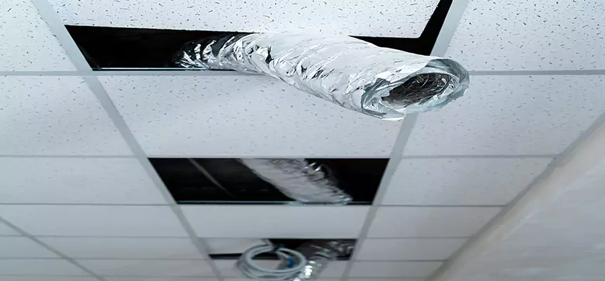 Our Air Duct Pet Hair Removal Services in Mill Creek, WA