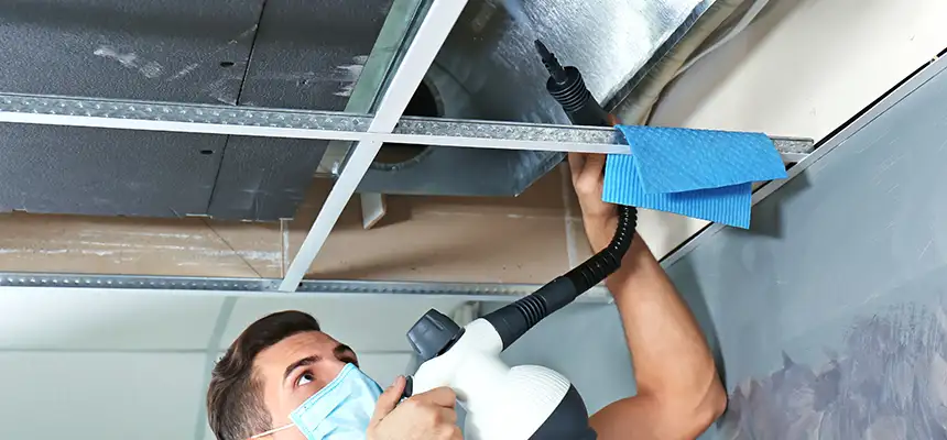 Our Air Duct Rodent Removal Services in Mill Creek, WA