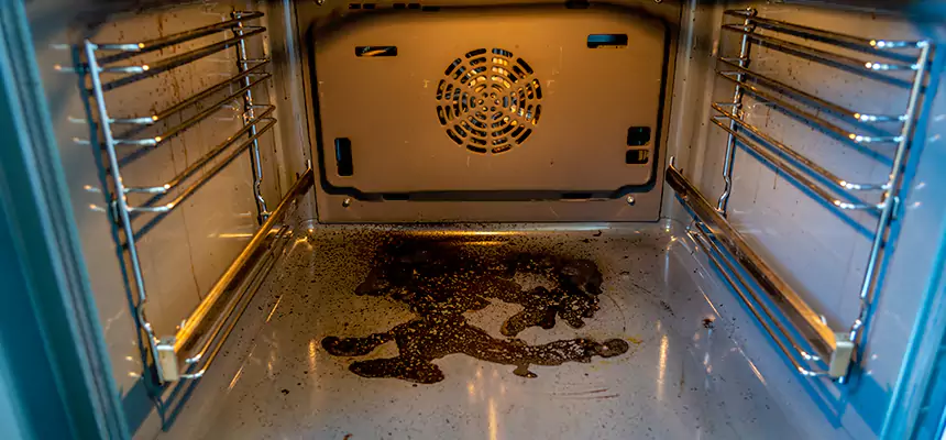 Our Dryer Vent Mold Cleaning Services in Mill Creek, WA