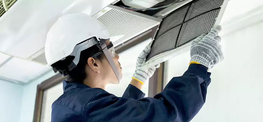 Our Mold & Mildew Removal from Air Ducts Services in Mill Creek, WA