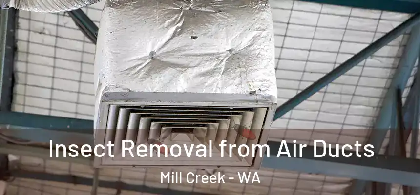 Insect Removal from Air Ducts Mill Creek - WA