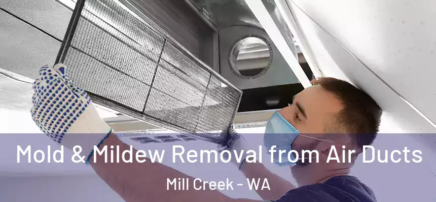  Mold & Mildew Removal from Air Ducts Mill Creek - WA