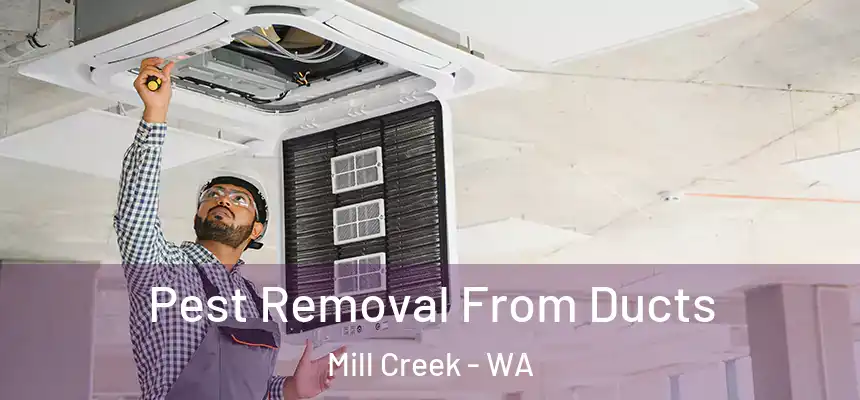 Pest Removal From Ducts Mill Creek - WA