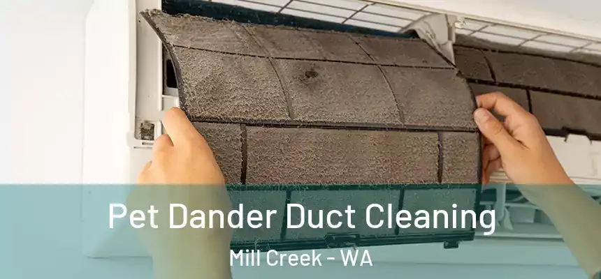 Pet Dander Duct Cleaning Mill Creek - WA