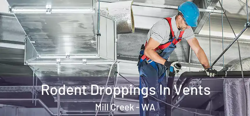 Rodent Droppings In Vents Mill Creek - WA