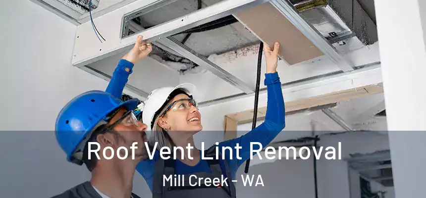 Roof Vent Lint Removal Mill Creek - WA