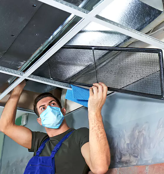 Professional Air Duct Pollen Cleaning in Mill Creek, WA