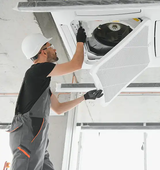 About Air Duct Rodent Removal in Mill Creek, WA