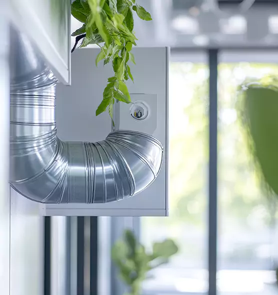 Professional Eco-Safe Dryer Vent Cleaning in Mill Creek, WA