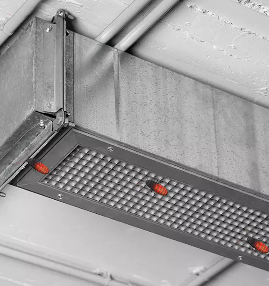 Affordable Insect Removal from Air Ducts in Mill Creek, WA