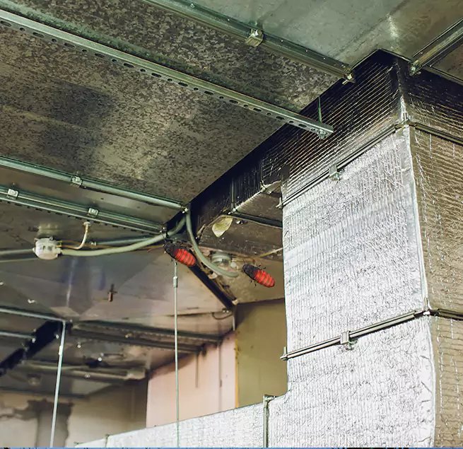 Why Homeowners & Businesses Trust Us in Mill Creek, WA?