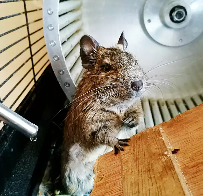 Why Homeowners & Businesses Trust Us Mill Creek, WA?