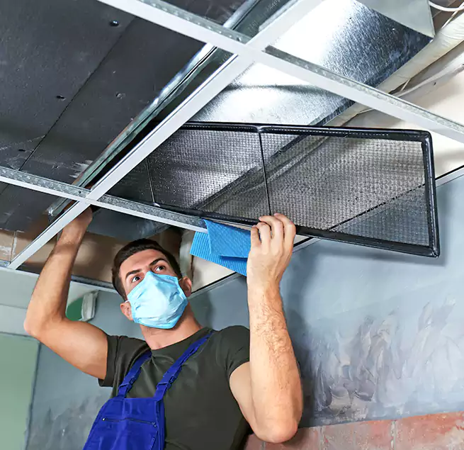 Why Homeowners Businesses Trust Us in Mill Creek, WA