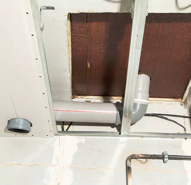 Why Homeowners & Businesses Trust Us in Mill Creek, WA?