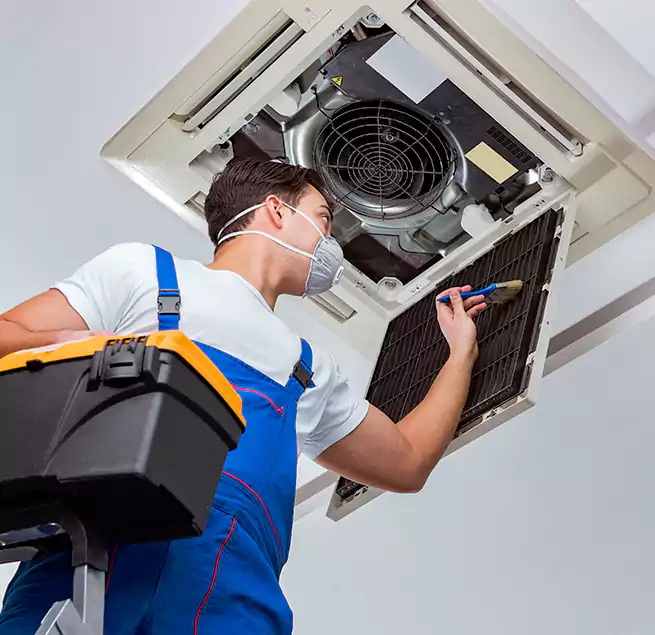 Why Homeowners & Businesses Trust Us in Mill Creek, WA