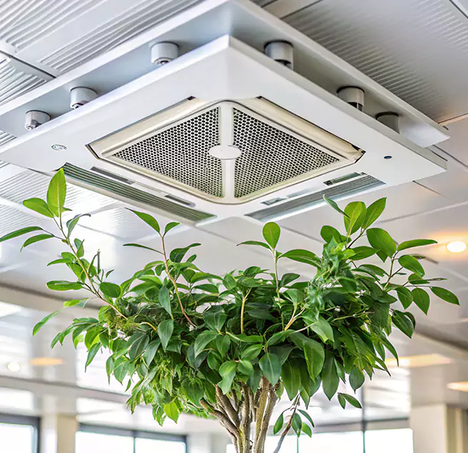 Why Homeowners & Businesses Trust Us in Mill Creek, WA?