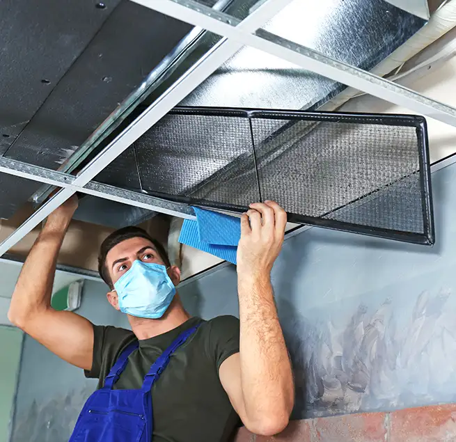 Why Homeowners & Businesses Trust Us in Mill Creek, WA?